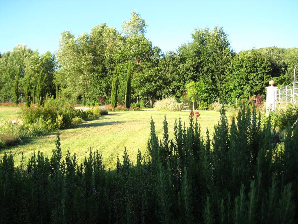 Agriturismo Il Molino Antico - 5 Girasoli Spoleto Exterior foto